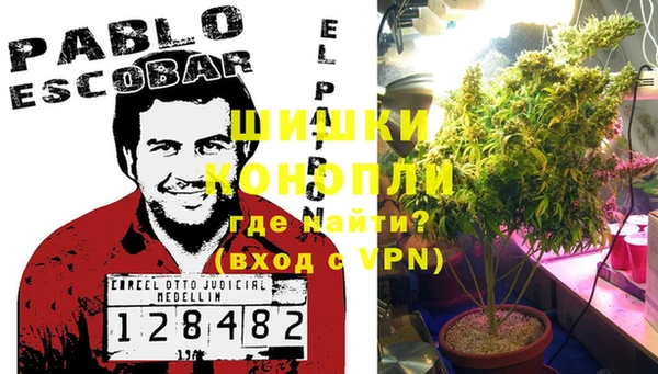 apvp Вяземский