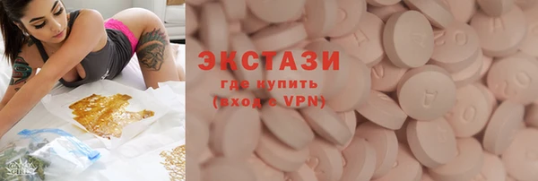 apvp Вяземский