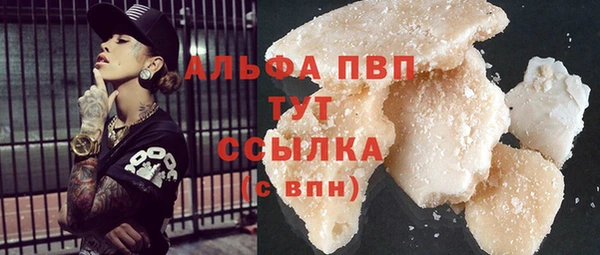 apvp Вяземский