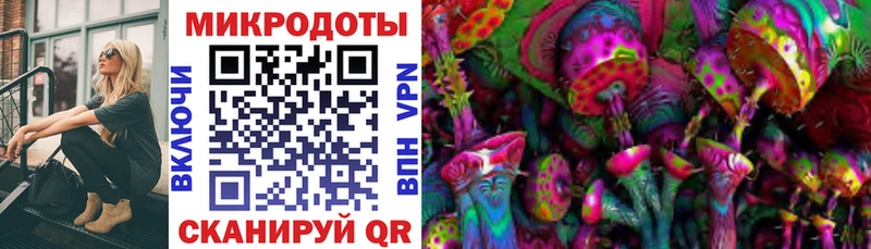 Галлюциногенные грибы Cubensis  где купить наркоту  блэк спрут маркетплейс  Ясногорск 